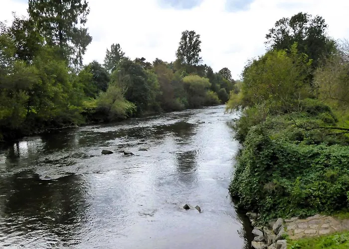 公寓 Villa, 17, Dz *