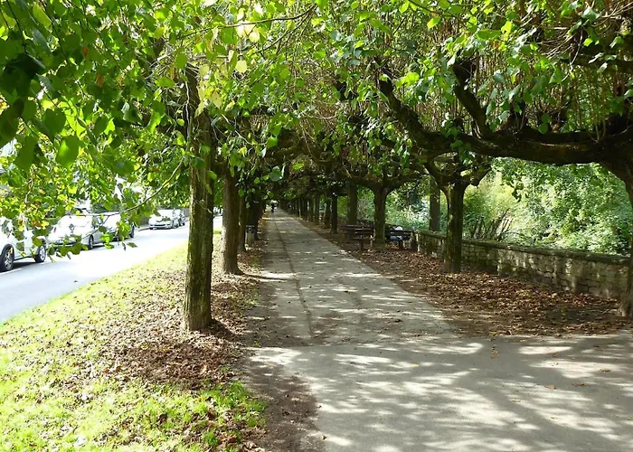 公寓 Villa, 17, Dz