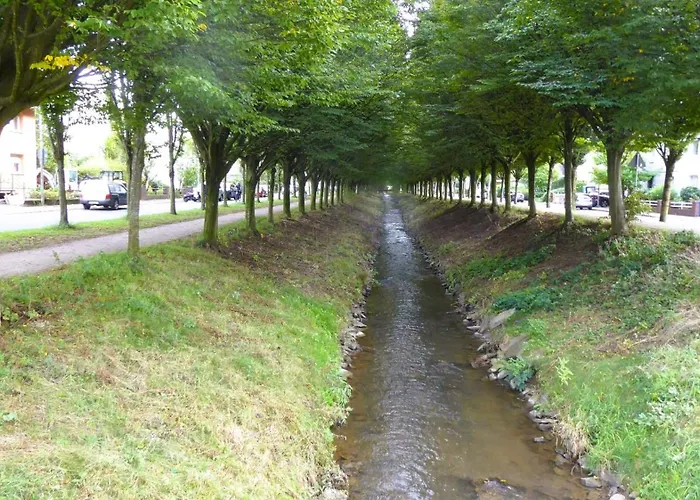 Villa, 17, Dz 公寓 *